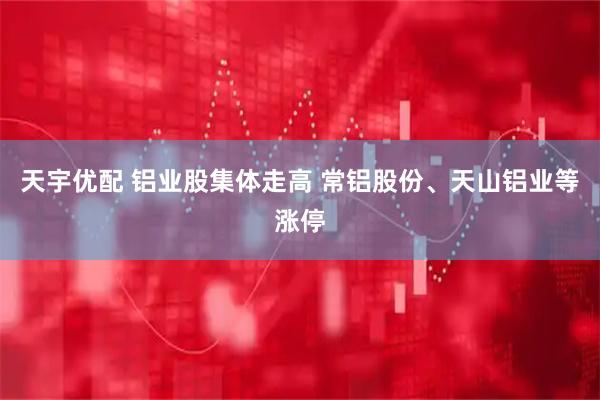 天宇优配 铝业股集体走高 常铝股份、天山铝业等涨停