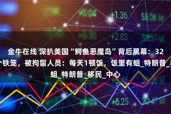 金牛在线 深扒美国“鳄鱼恶魔岛”背后黑幕：32个人挤1个铁笼，被拘留人员：每天1顿饭，饭里有蛆_特朗普_移民_中心