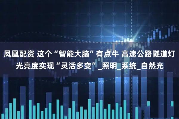 凤凰配资 这个“智能大脑”有点牛 高速公路隧道灯光亮度实现“灵活多变”_照明_系统_自然光